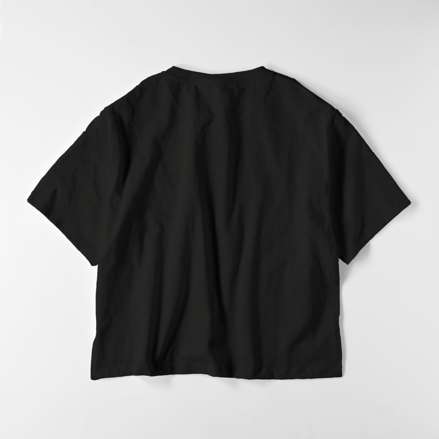 レディースビックシルエットT フラッグロゴ black image
