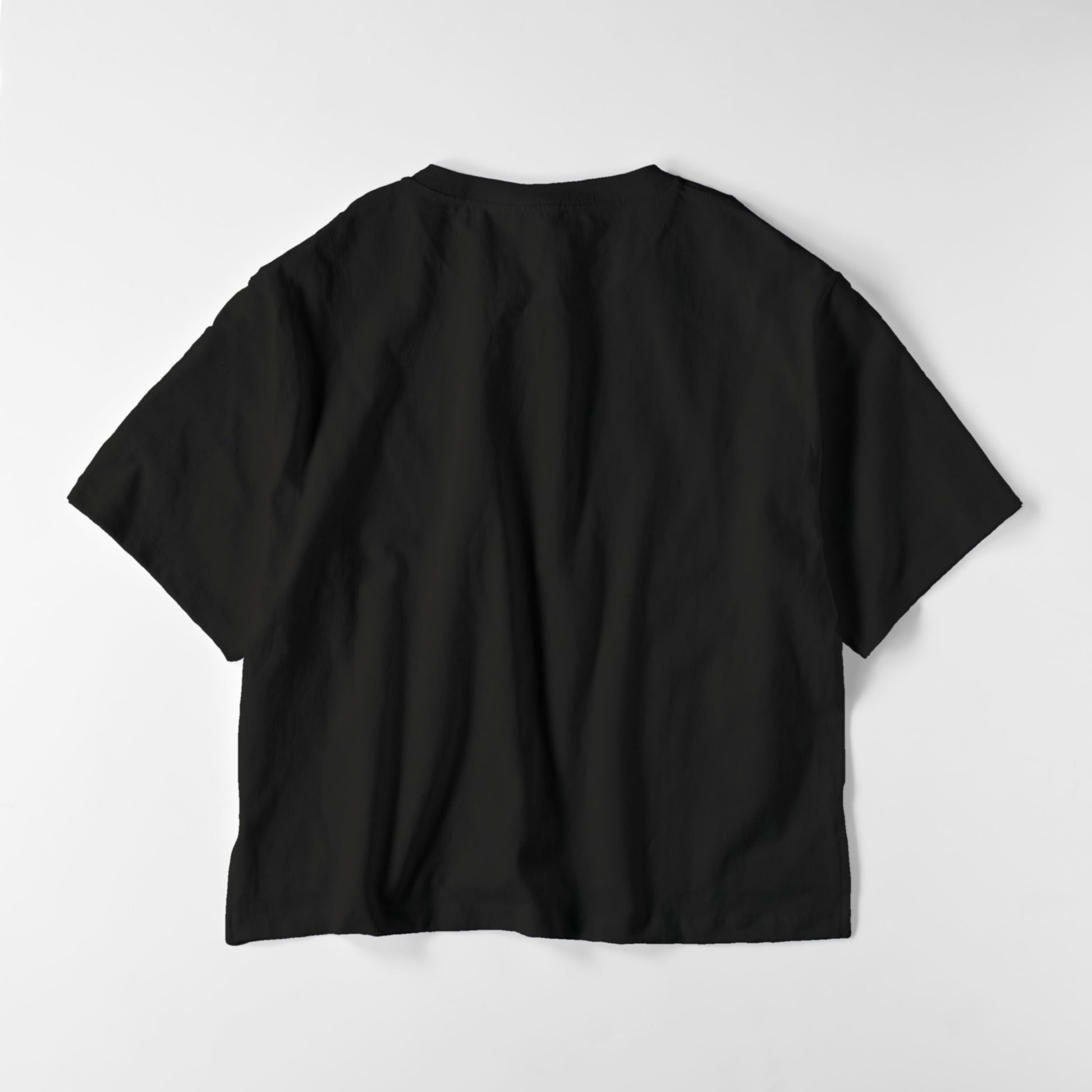 レディースビックシルエットT　フラッグロゴ black image