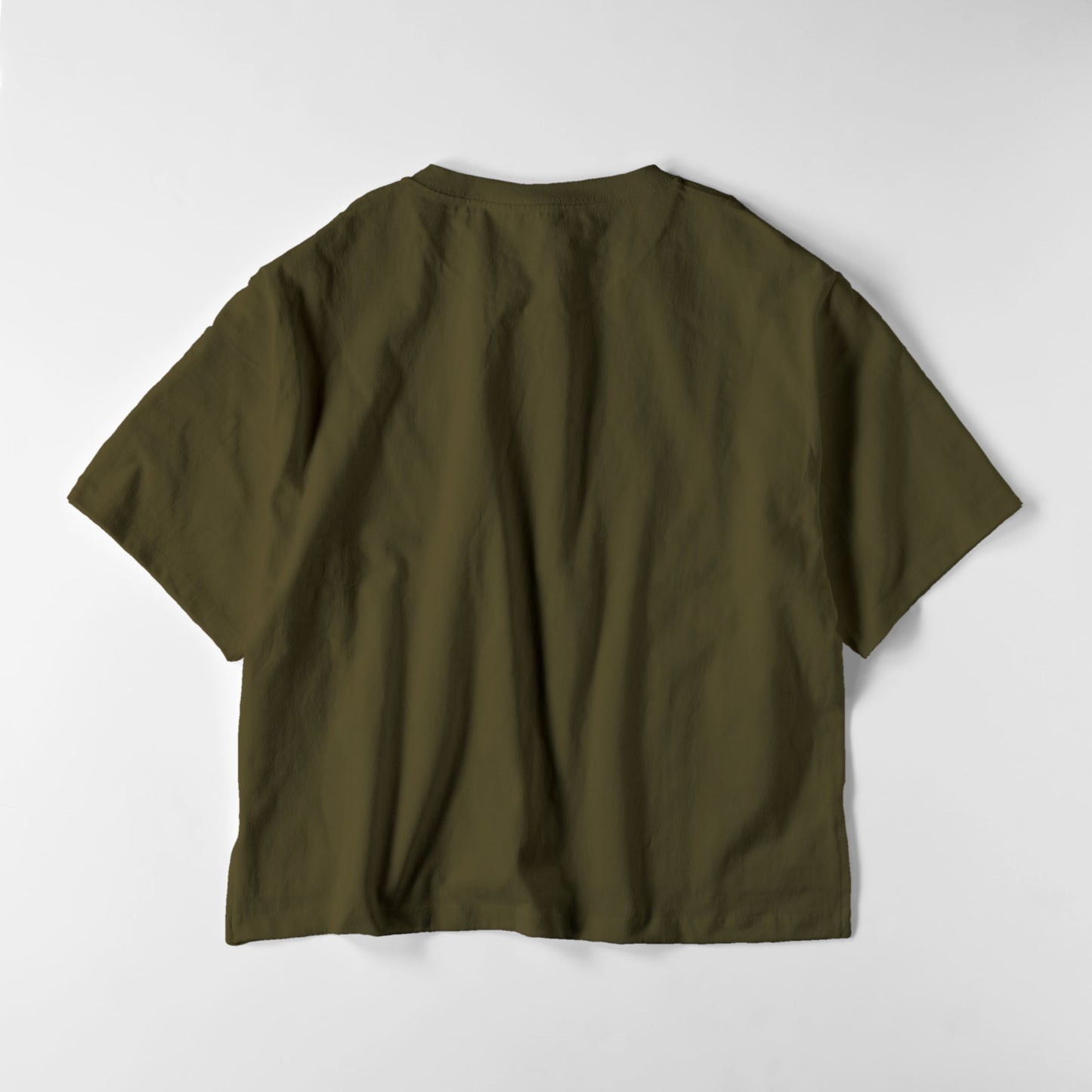 レディースビックシルエットT　フラッグロゴ olive-drab image