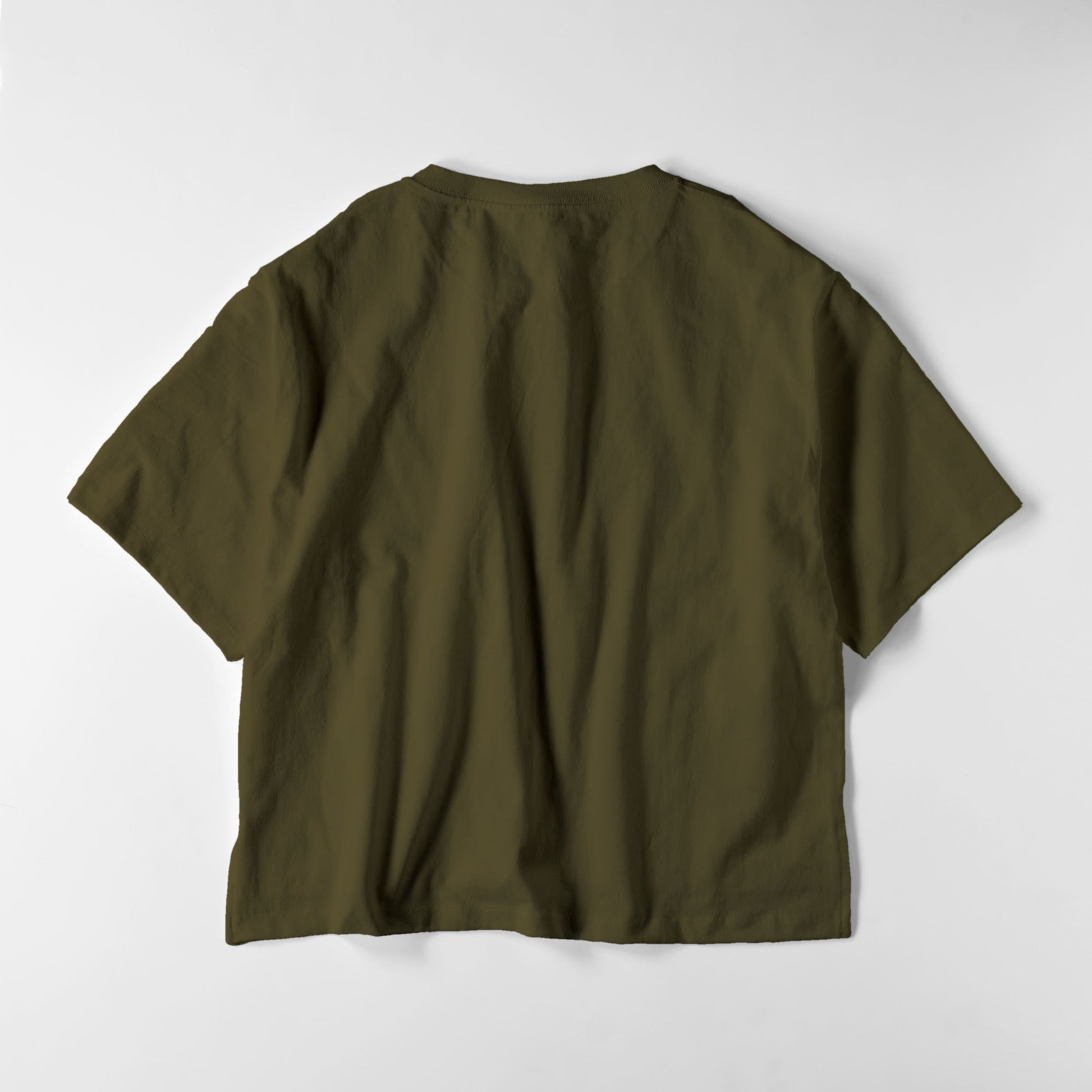 レディースビックシルエットT　フラッグロゴ olive-drab image