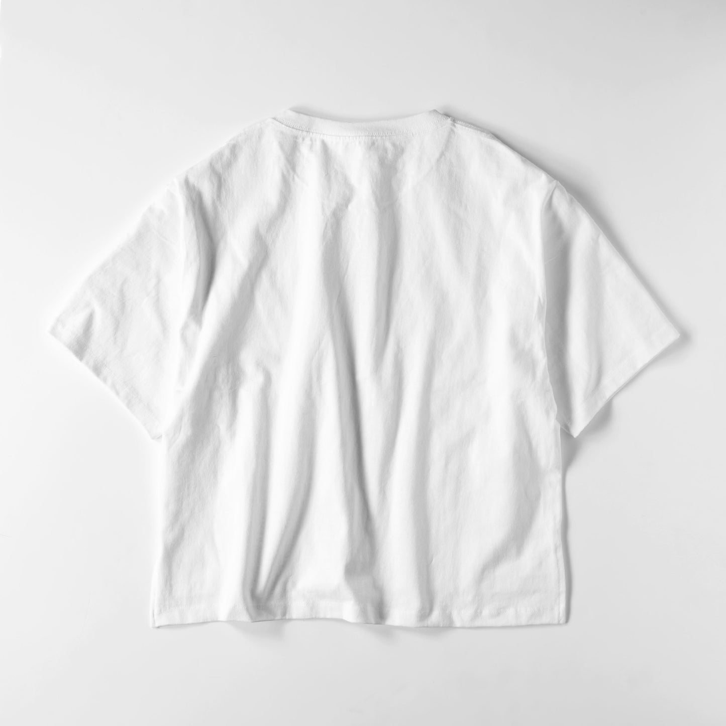 レディースビックシルエットT　フラッグロゴ white image